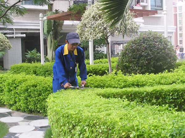 沙發(fā)怎么保養